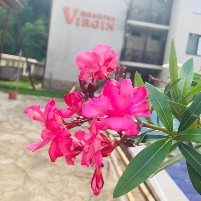 Family Hotel Virgin Рибарица Экстерьер фото