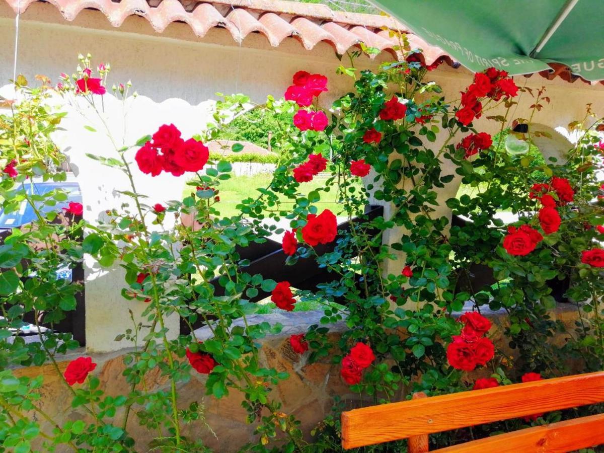 Family Hotel Virgin Рибарица Экстерьер фото